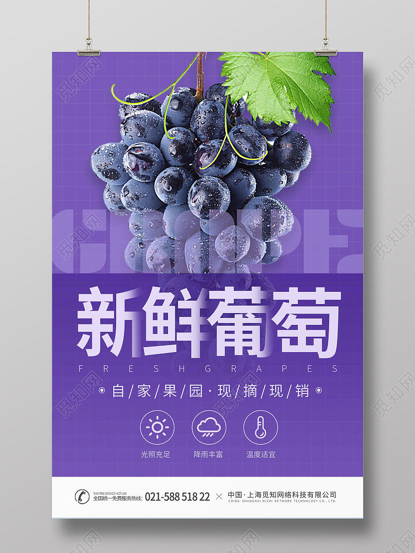 紫色简约时代大气新鲜葡萄宣传海报水果