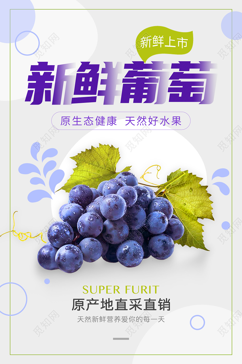 白色简约可爱小清新葡萄水果海报