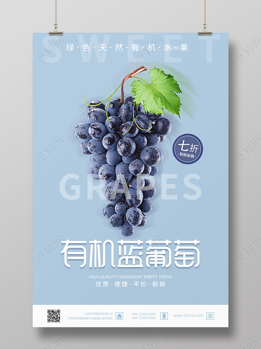 蓝色简约时尚大气有机蓝葡萄有机水果海报