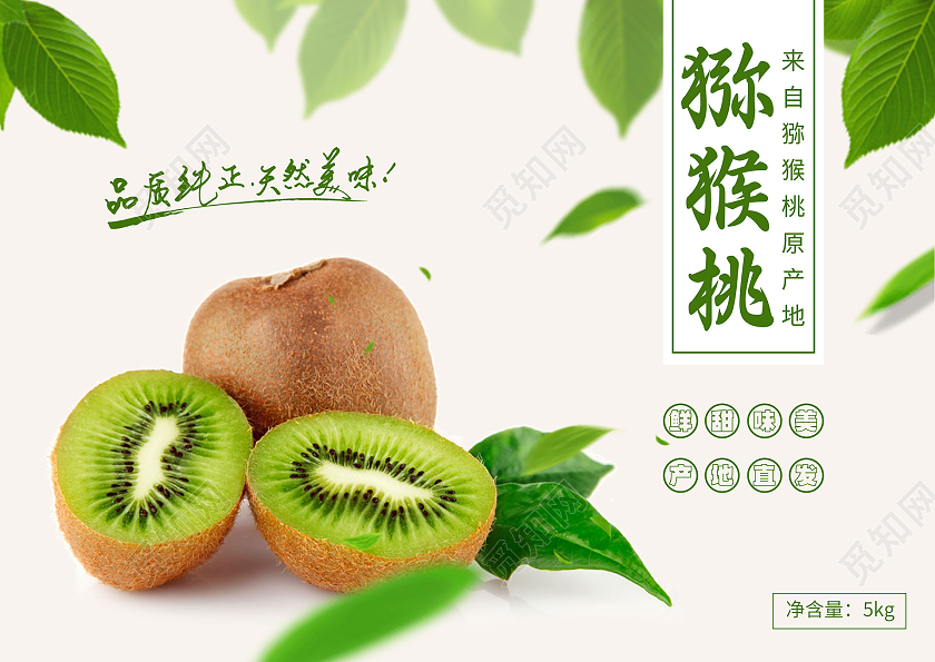 浅色小清新猕猴桃奇异果包装箱设计猕猴桃礼盒包装