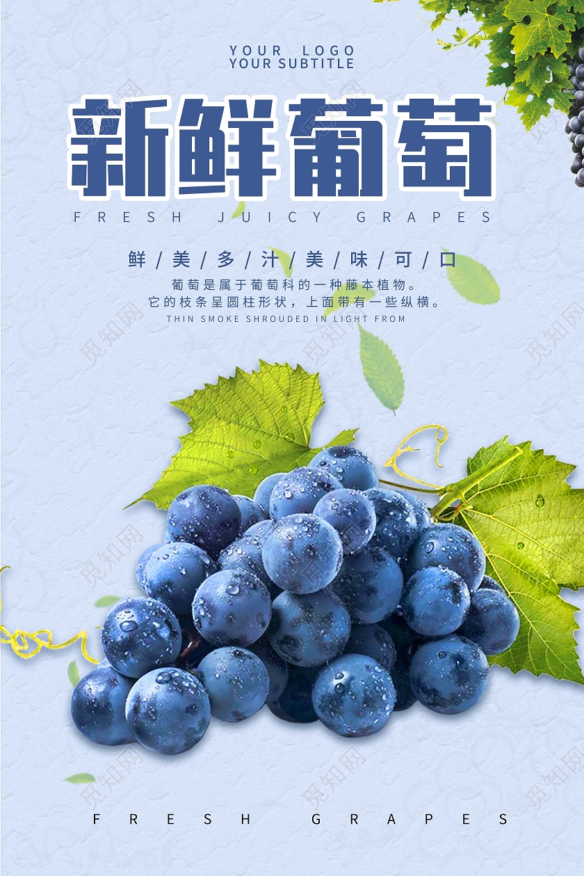 浅紫色系简约风新鲜葡萄葡萄海报水果