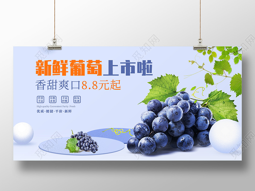 蓝色简约葡萄新鲜葡萄展架葡萄上市展架水果