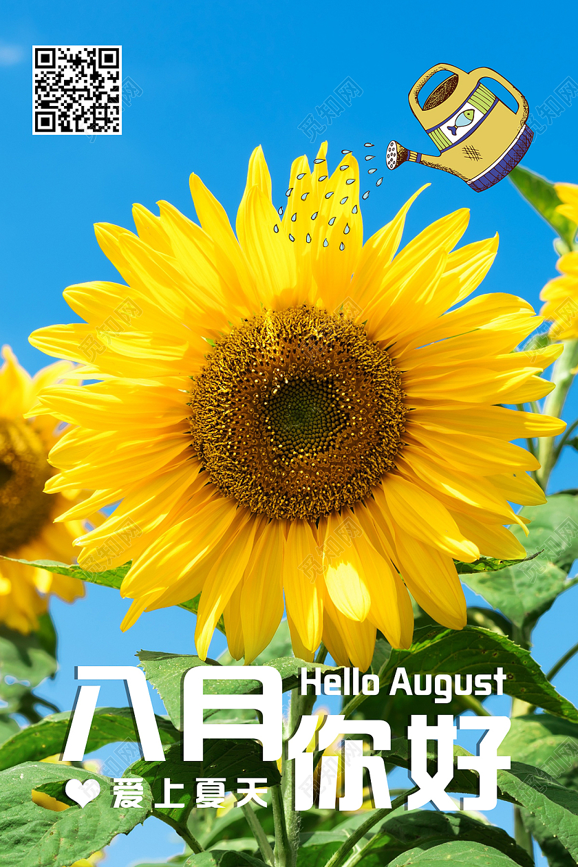 绿色向日葵简约小清新8月你好八月你好海报宣传8月你好海报