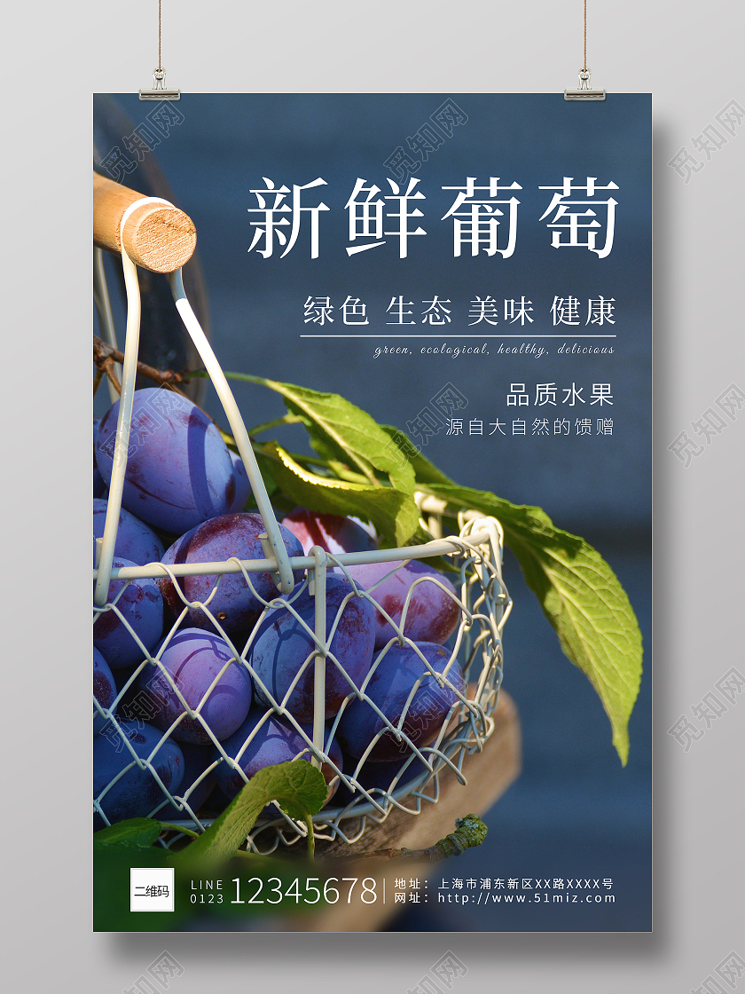 紫色系原生态天然水果新鲜葡萄海报