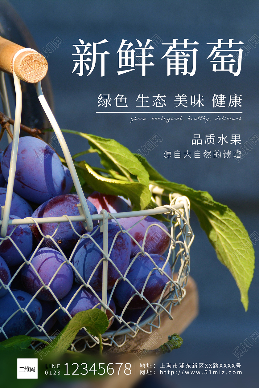 紫色系原生态天然水果新鲜葡萄海报