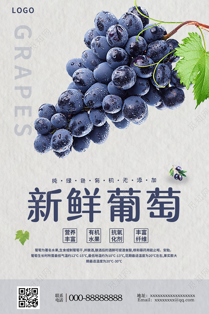 简约大气蓝色系有机蓝葡萄水果海报
