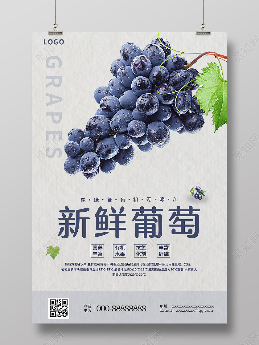 简约大气蓝色系有机蓝葡萄水果海报
