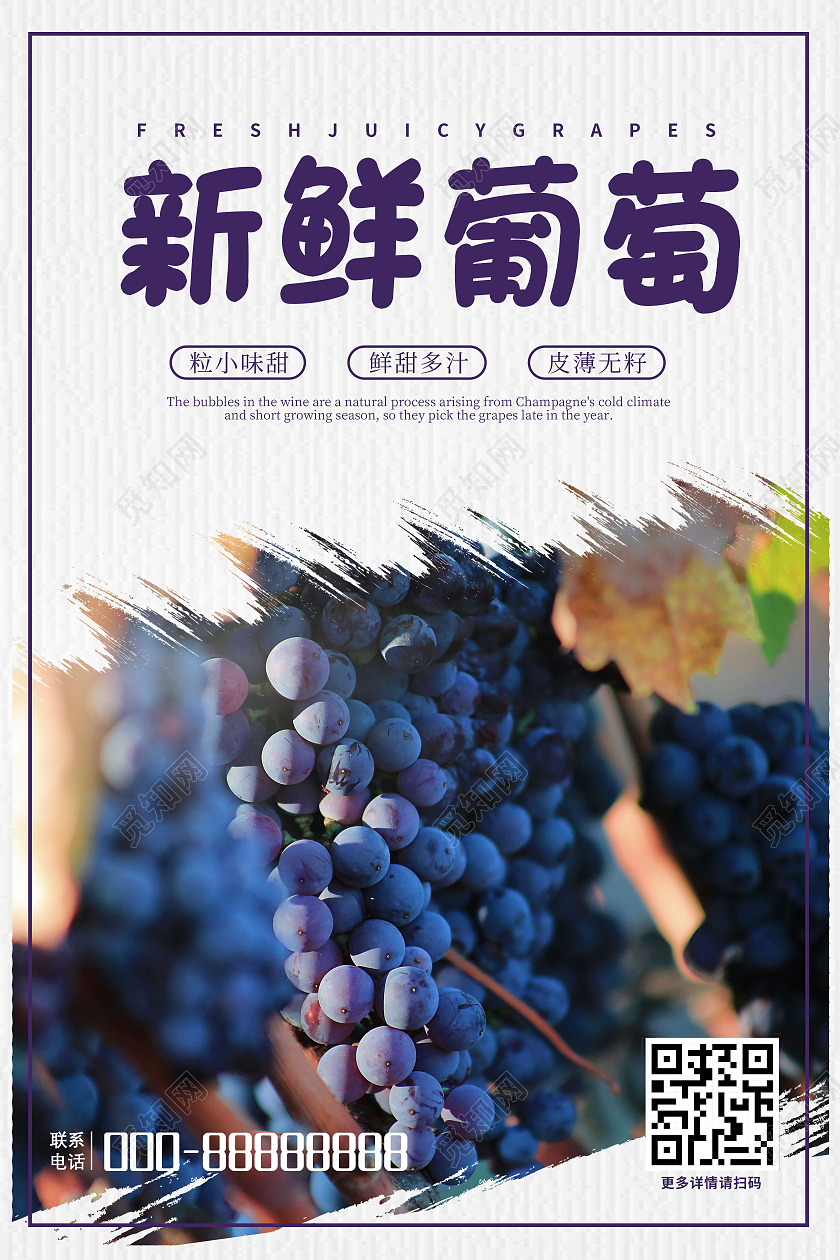 蓝紫色简约新鲜葡萄广告宣传海报水果