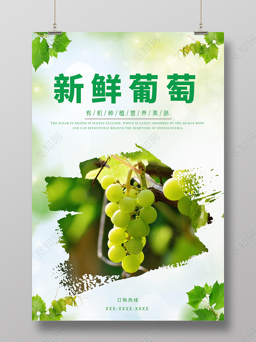 淡青色简约新鲜葡萄美味葡萄葡萄海报葡萄上市水果
