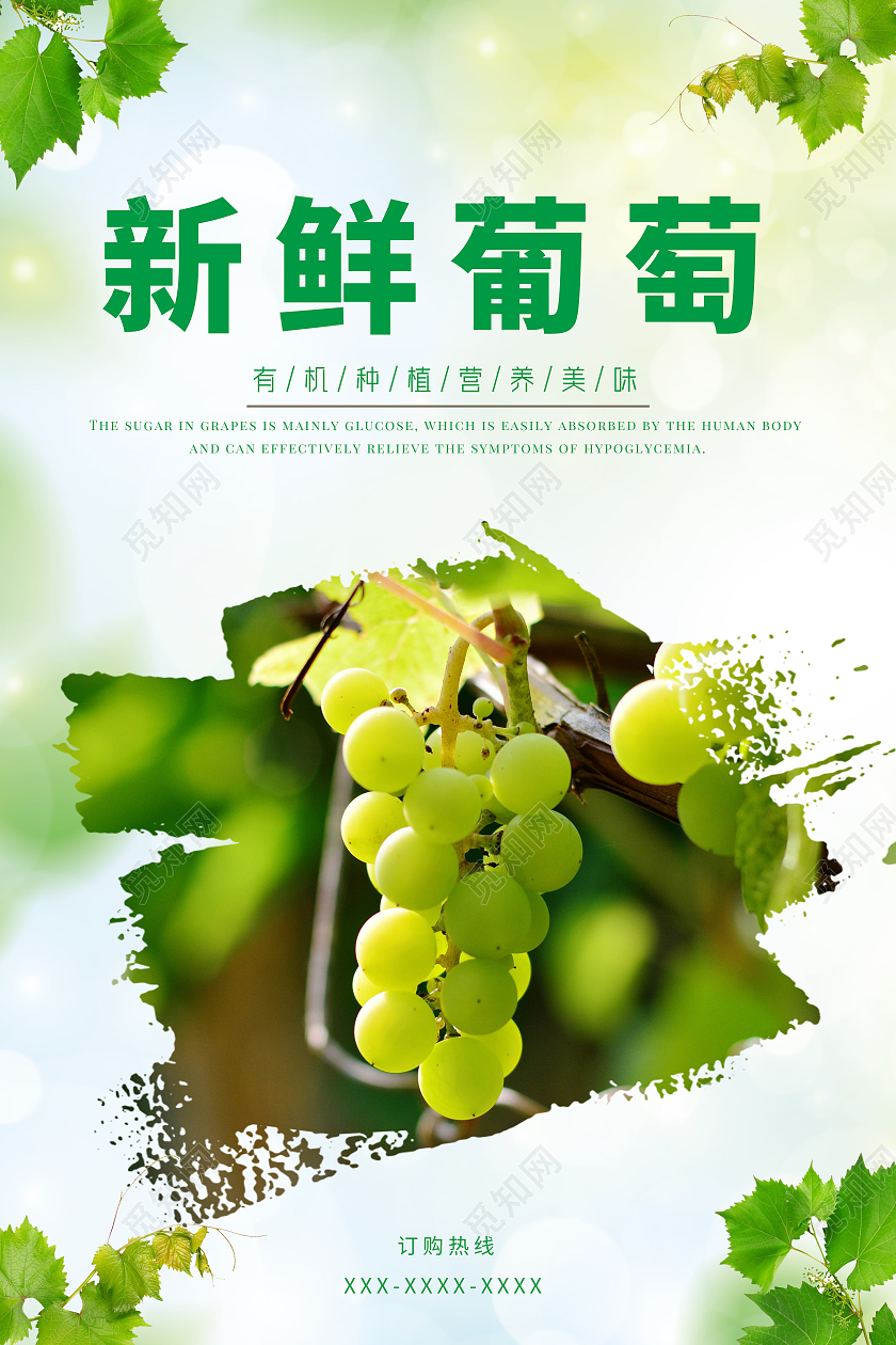 淡青色简约新鲜葡萄美味葡萄葡萄海报葡萄上市水果