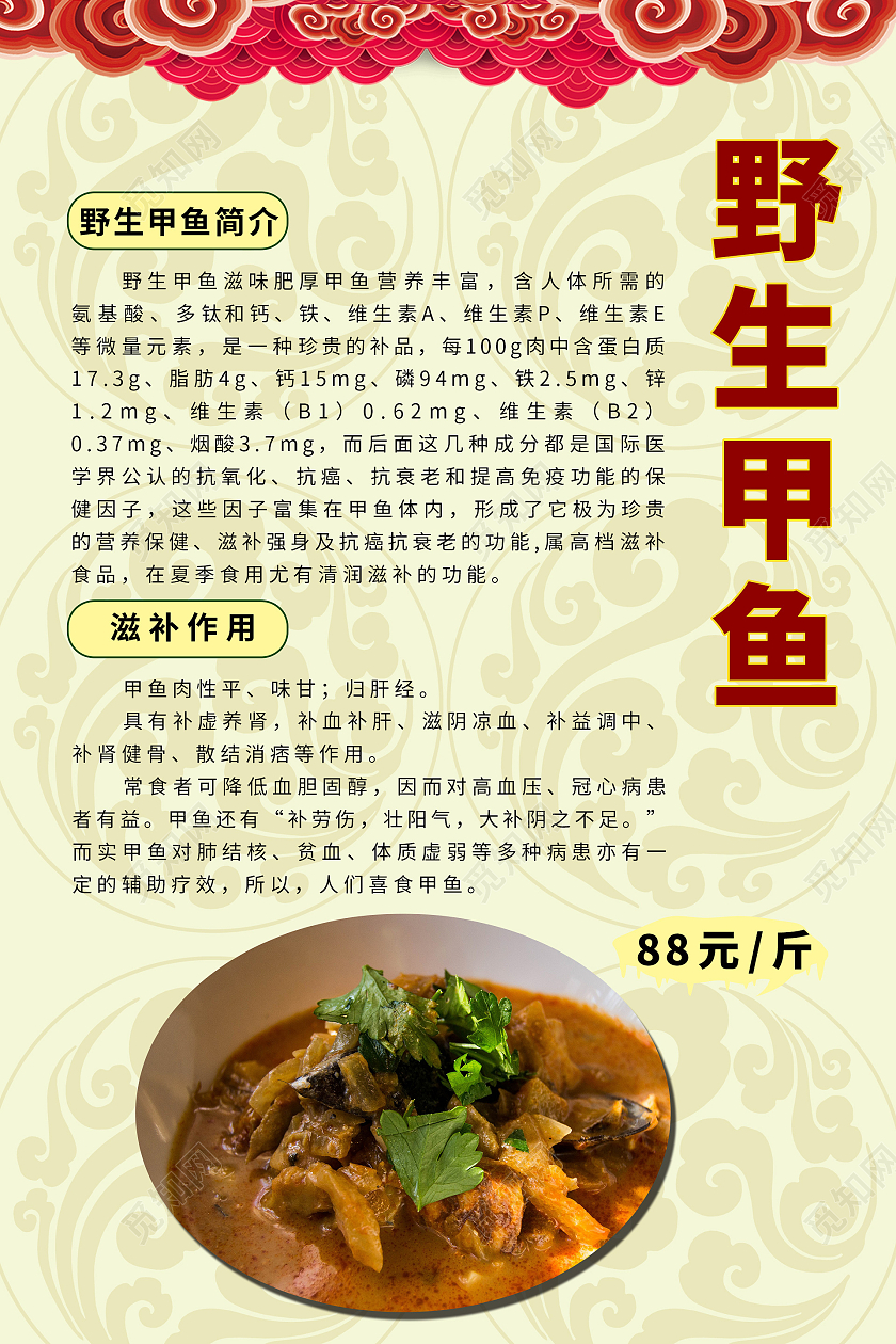 简约大气黄色系野生甲鱼海报宣传海报