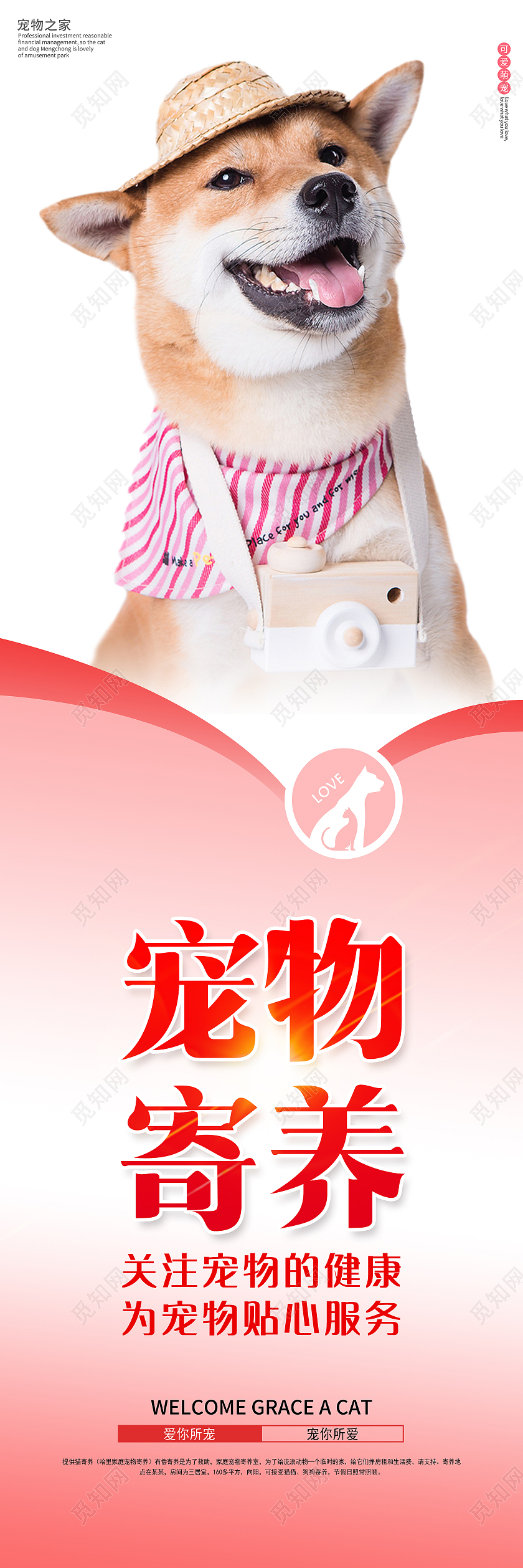 粉色简约爱你所宠宠你所爱宠物挂图宠物萌宠挂图套图