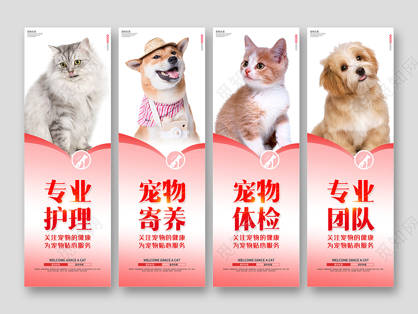 粉色简约爱你所宠宠你所爱宠物挂图宠物萌宠挂图套图