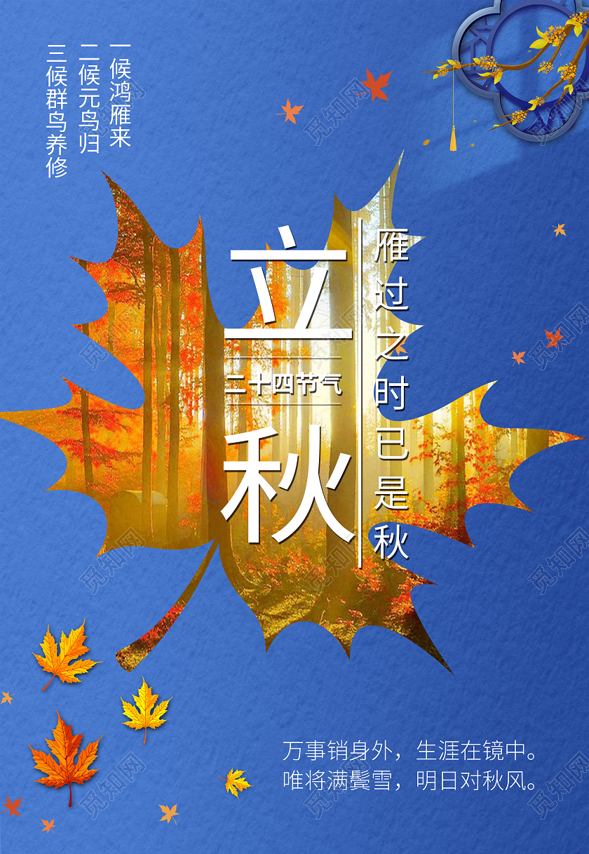 蓝色简约清新秋天立秋树叶宣传海报立秋节气摄影图蓝色创意海报