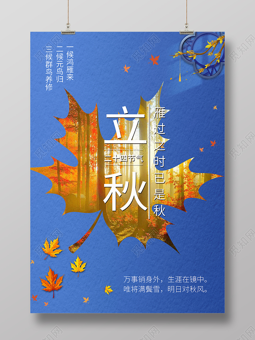 蓝色简约清新秋天立秋树叶宣传海报立秋节气摄影图蓝色创意海报