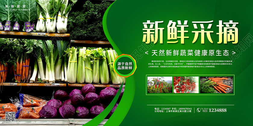 绿色简约新鲜蔬菜自然生态蔬菜套图