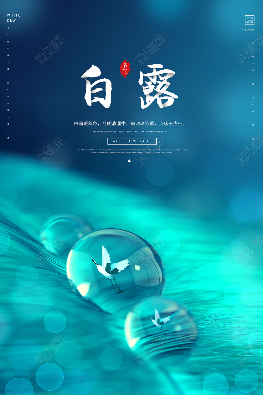 倡议唯美白露24节气二十四节气白露海报