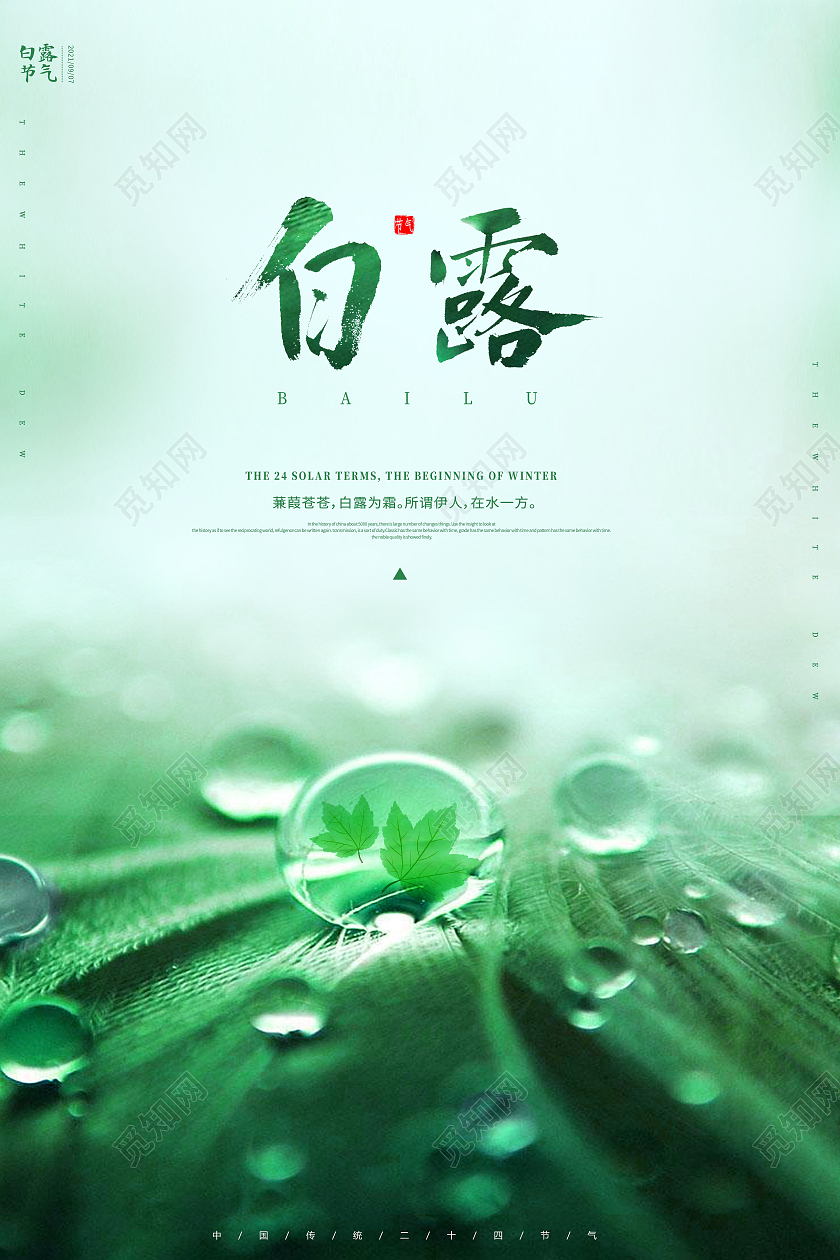 绿色唯美白露24节气二十四节气白露海报