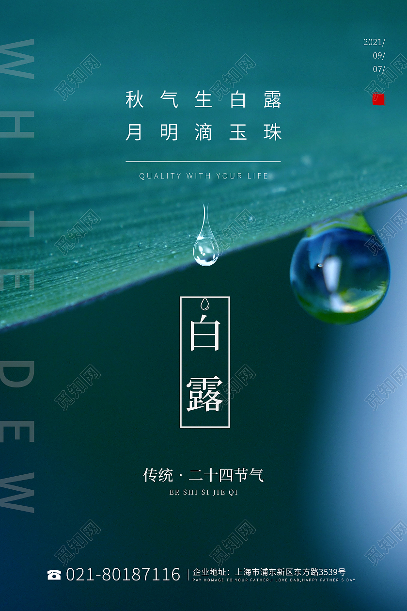 绿色清新简约绿叶上的露水白露节气海报二十四节气白露