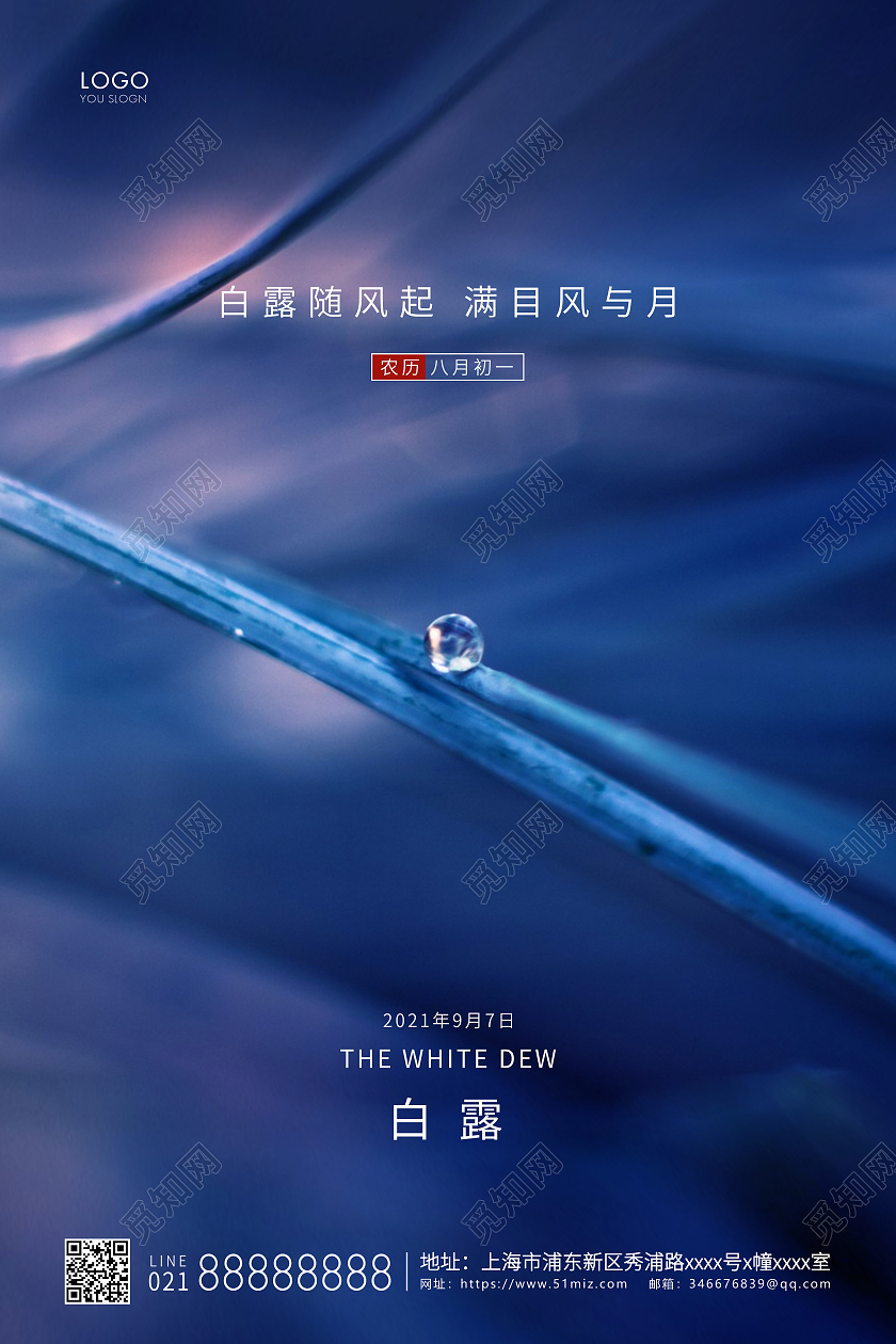 蓝色简约二十四节气白露节气宣传海报