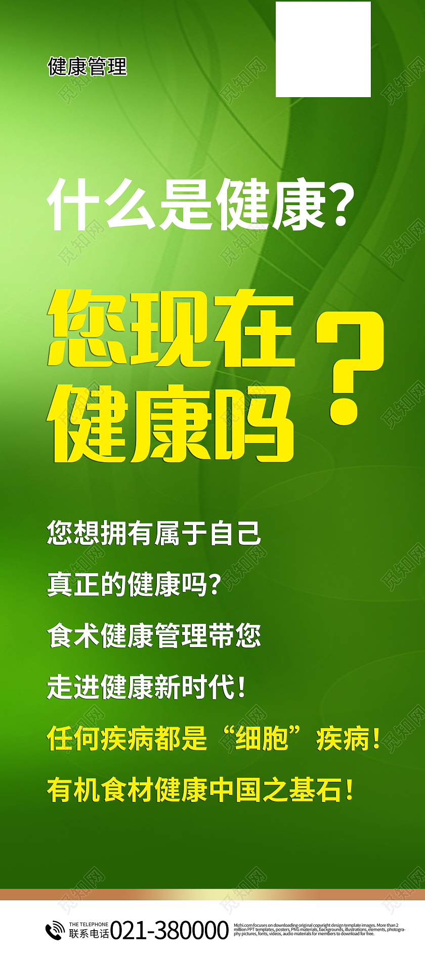 健康管理师讲座健康管理项目知识展架易拉宝