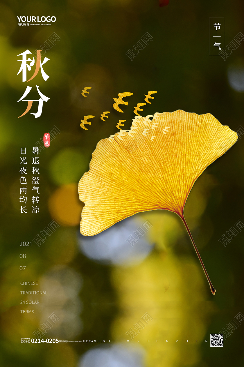 实景黄色枯叶落叶秋分节日节气海报二十四节气24节气秋分