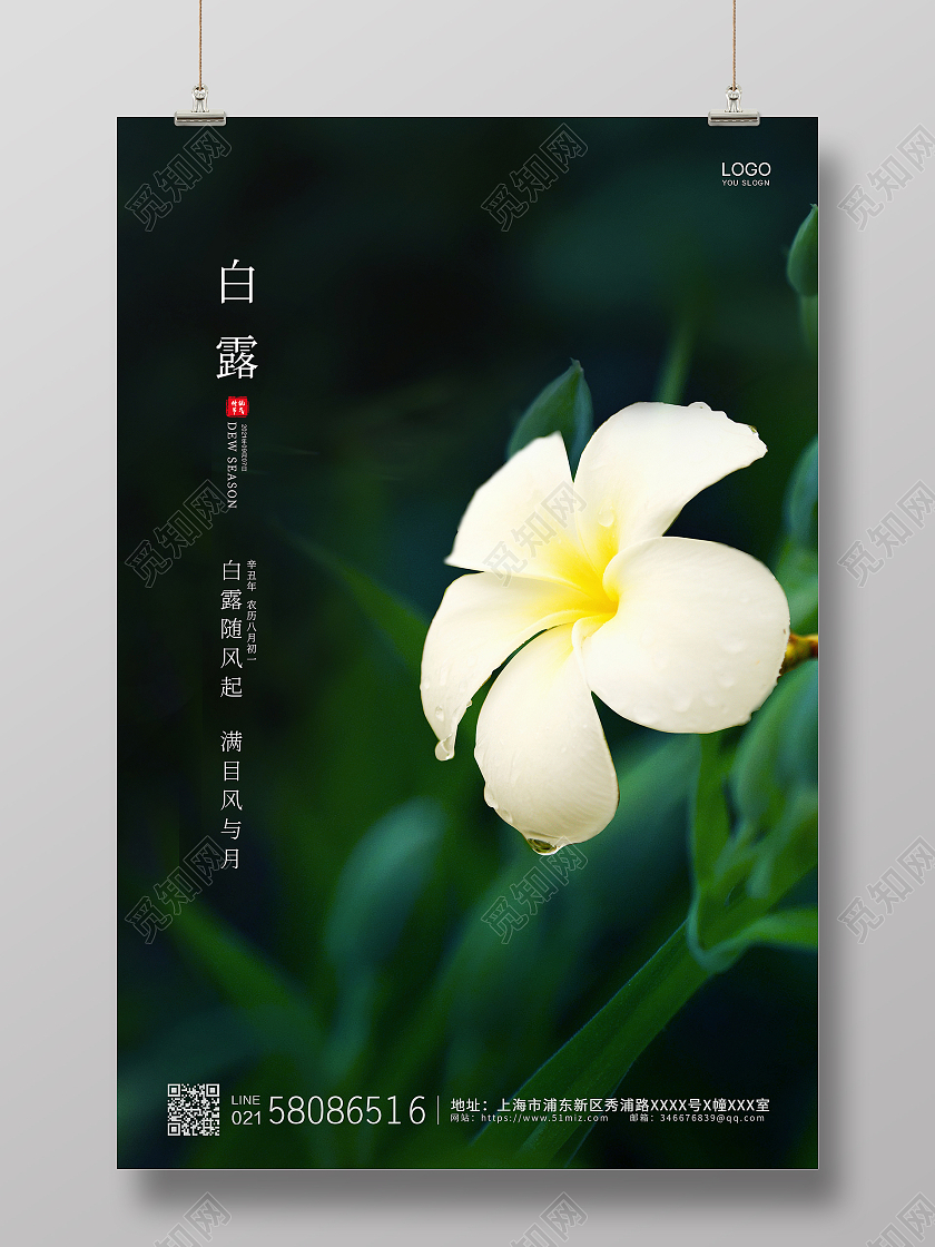 绿色简约大气二十四节气露珠白露节气宣传海报二十四节气白露