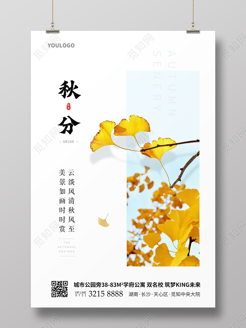 简约风秋分节气海报二十四节气海报二十四节气24节气秋分