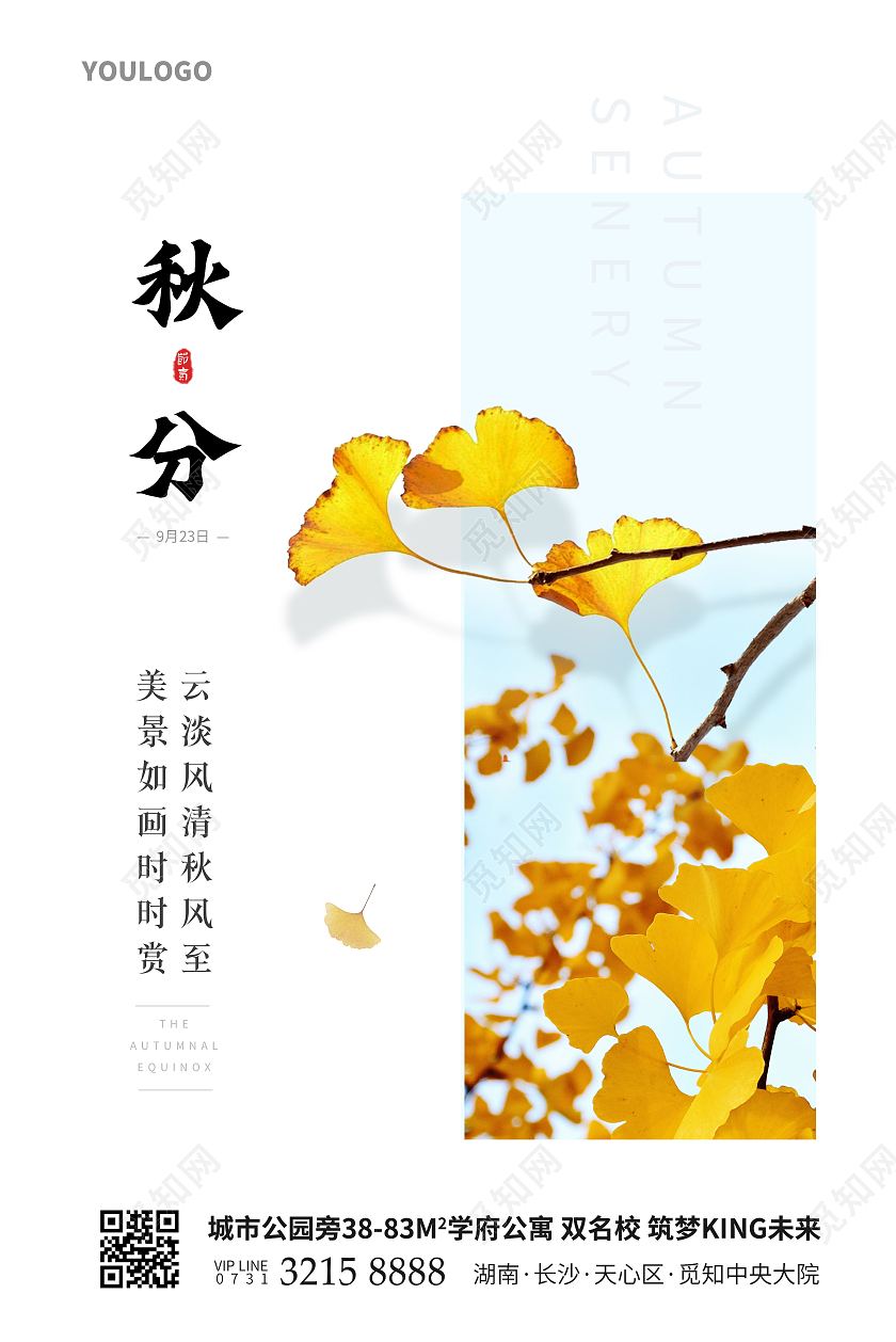 简约风秋分节气海报二十四节气海报二十四节气24节气秋分