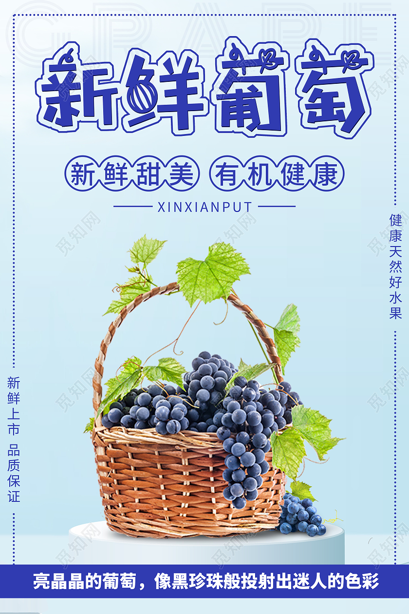 蓝色简约风新鲜葡萄水果宣传海报
