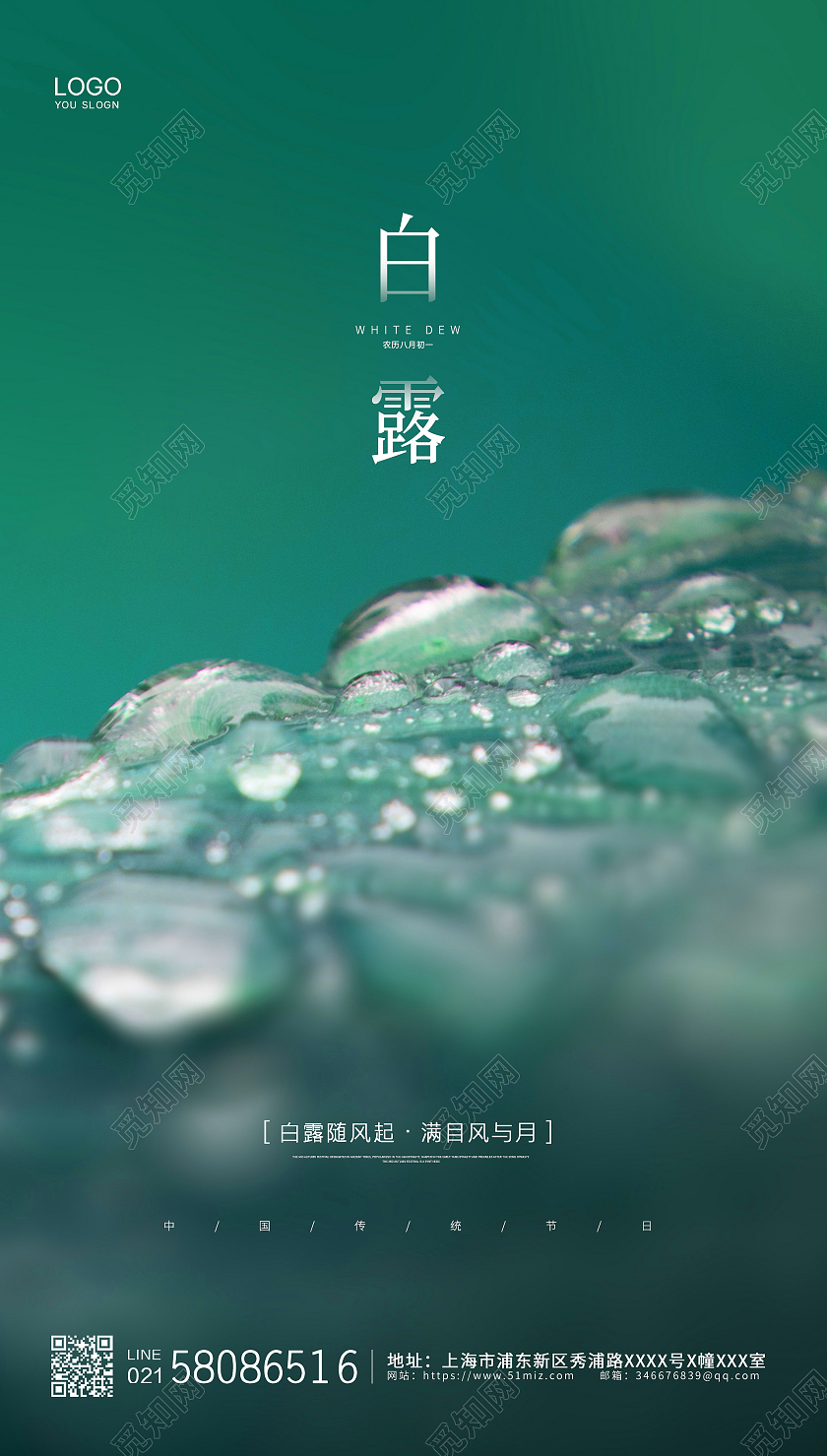 绿色简约大气二十四节气露珠白露节气ui手机海报白露ui手机海报