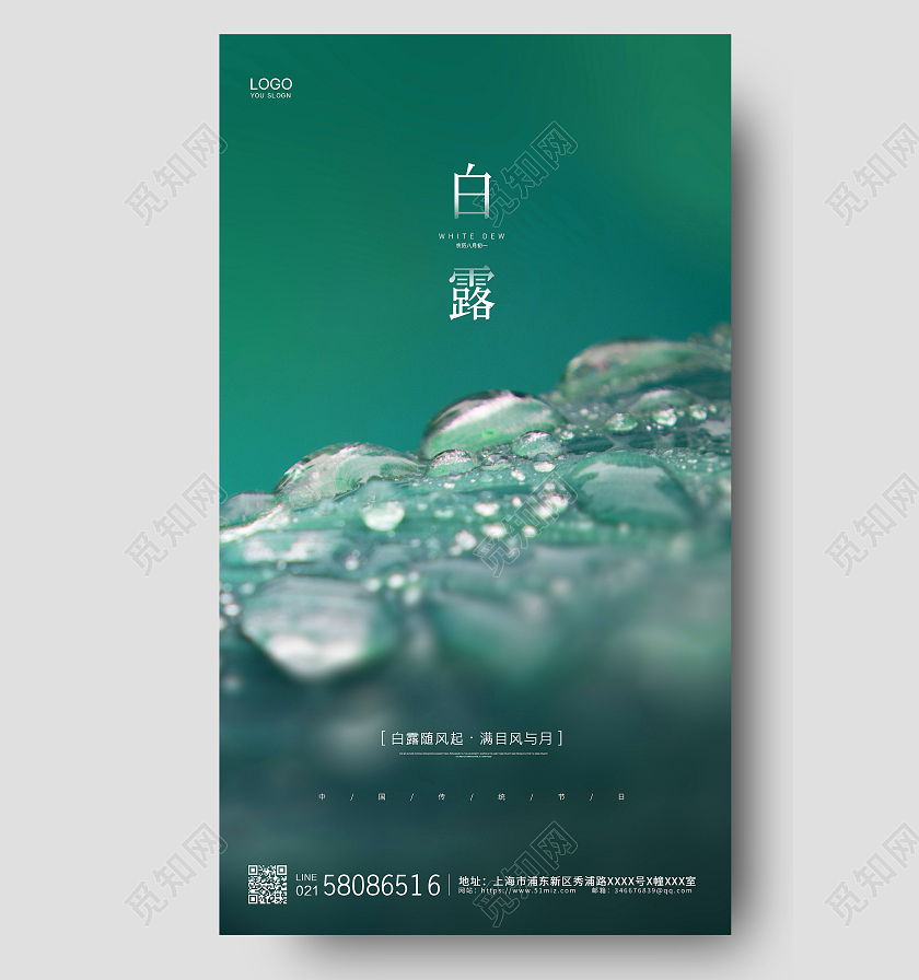 绿色简约大气二十四节气露珠白露节气ui手机海报白露ui手机海报