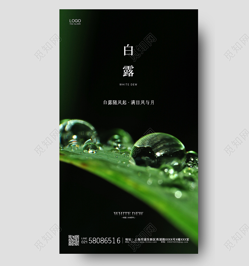 清新绿叶简约二十四节气白露ui节气宣传海报白露ui手机海报
