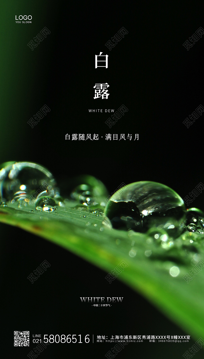 清新绿叶简约二十四节气白露ui节气宣传海报白露ui手机海报