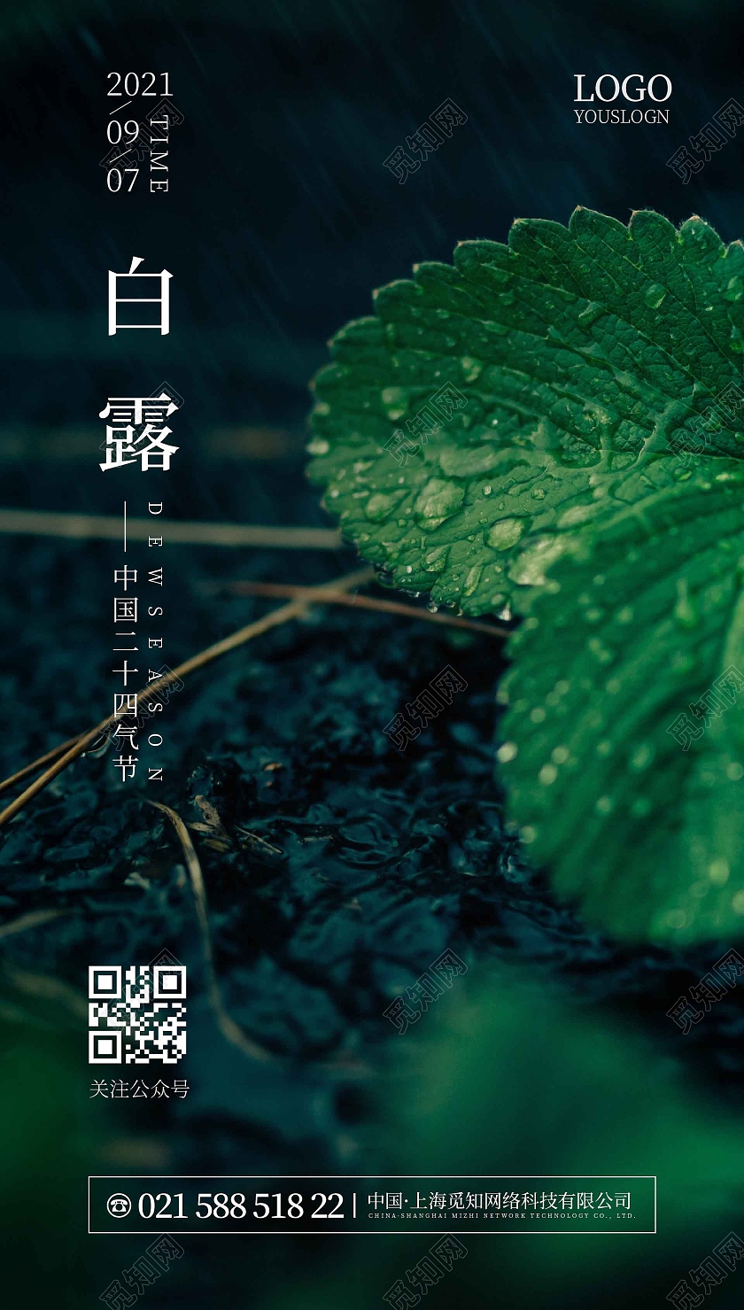 绿色简约大气露珠白露节气宣传手机海报白露ui手机海报