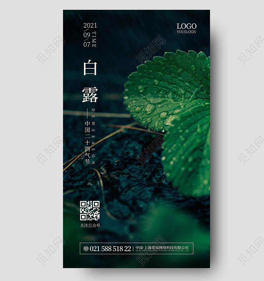 绿色简约大气露珠白露节气宣传手机海报白露ui手机海报