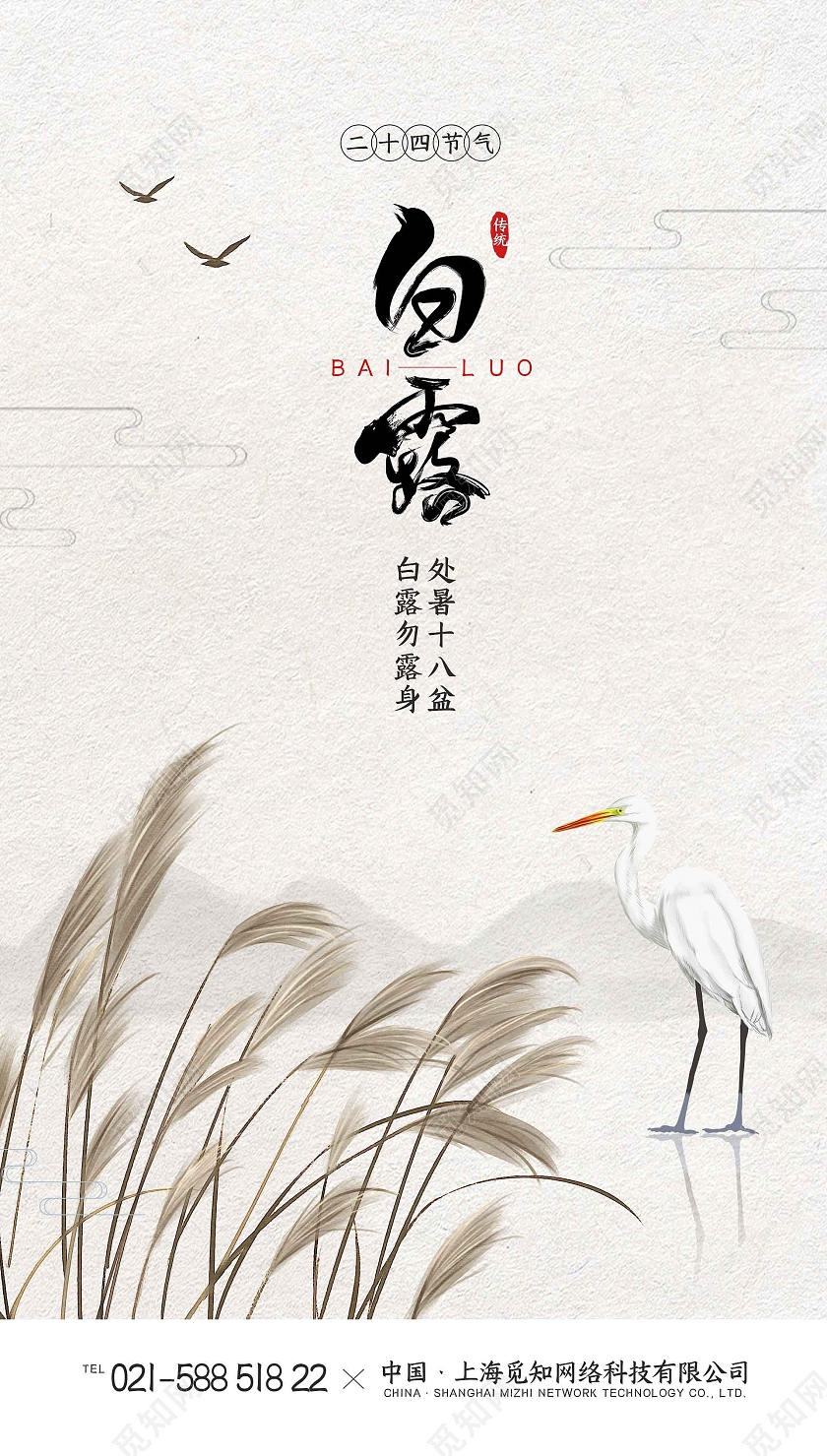 白色简约时尚大气二十四节气白露手机海报白露ui手机海报