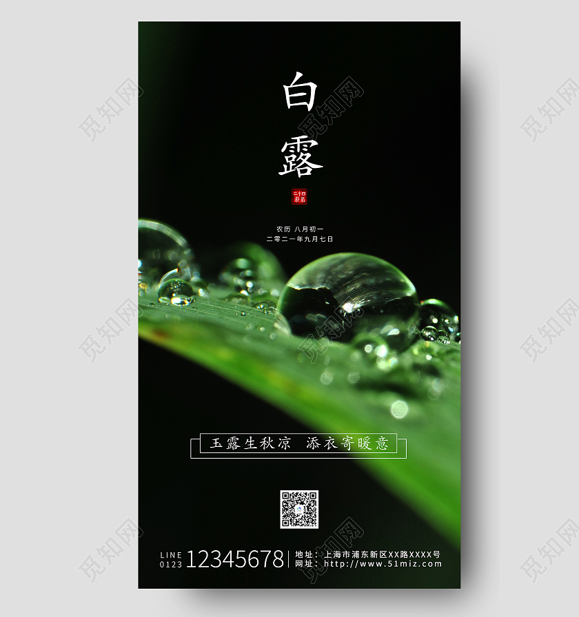 暗色绿色树叶露珠二十四节气白露海报白露ui手机海报