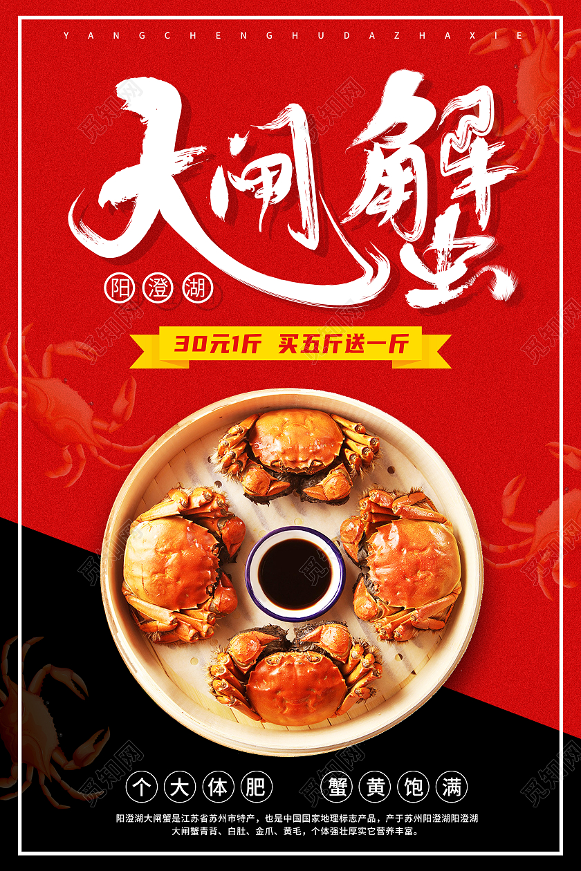 红色简约阳澄湖大闸蟹美食大闸蟹海报