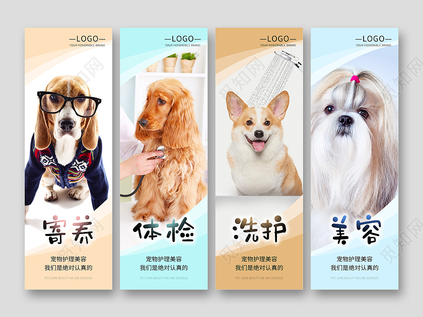 清新风格宠物店海报挂画宠物医院挂画狗狗宠物萌宠挂图套图