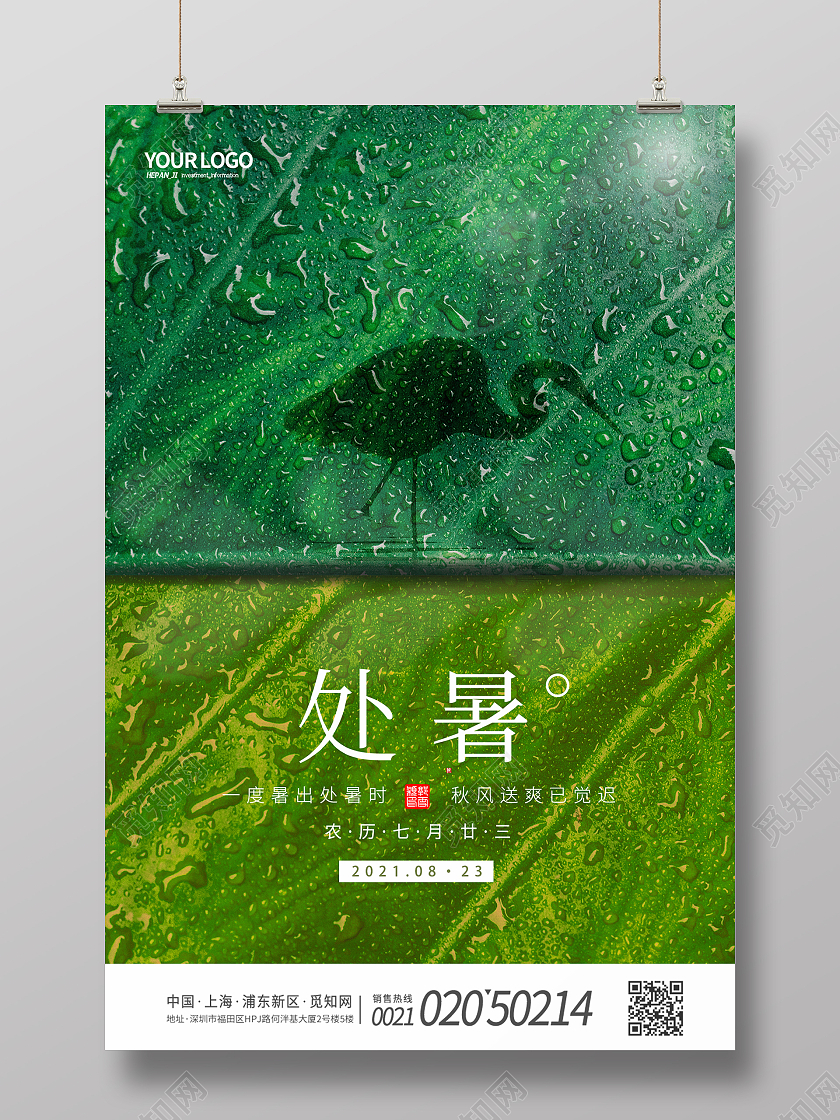 创意叶子荷花荷叶二十四节气处暑节日节气海报