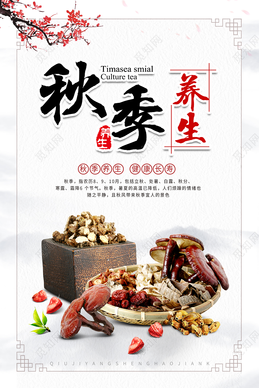 白色古风秋季养生中药养生传统养生海报