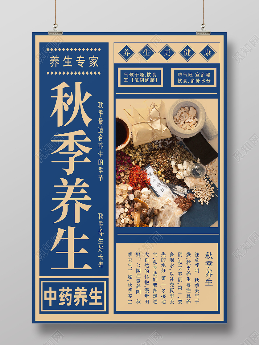 蓝色大字报秋季养生中药养生养生专家海报