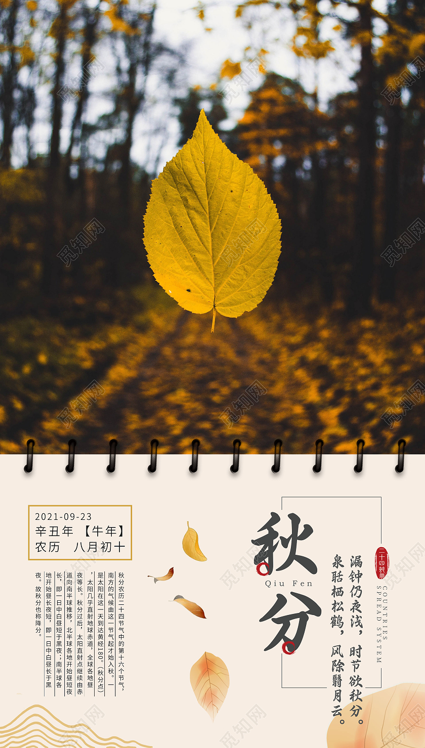 黄色简约大气秋分节气海报二十四节气意境海报秋分ui手机海报