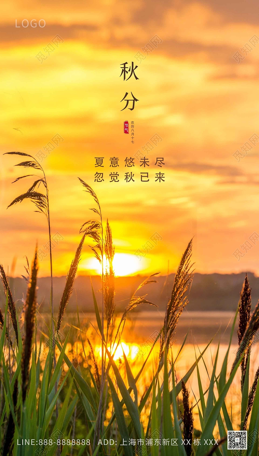 黄色风景麦穗温馨夕阳秋分手机海报秋分ui手机海报