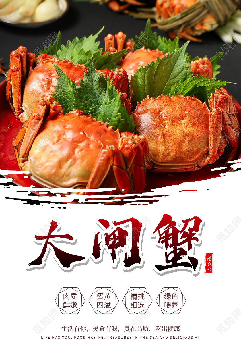 灰白色简单大气大闸蟹大闸蟹海报