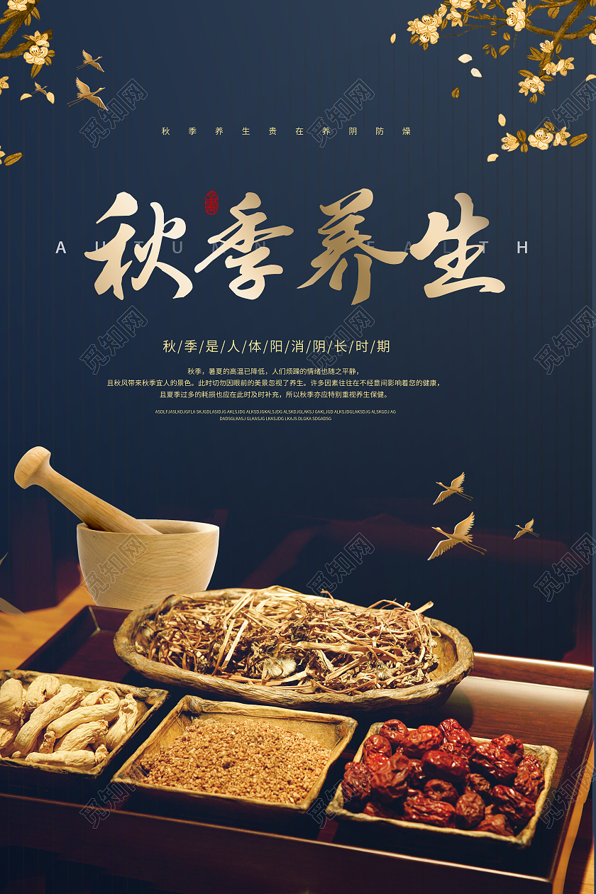 黑色大气秋季养生药材调理宣传海报
