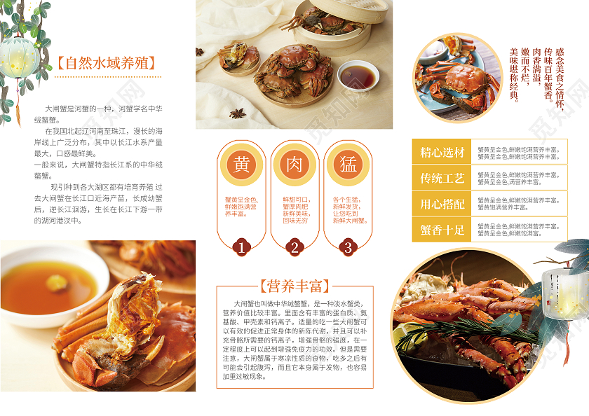 橙色精致大闸蟹促销宣传三折页螃蟹三折页大闸蟹折页