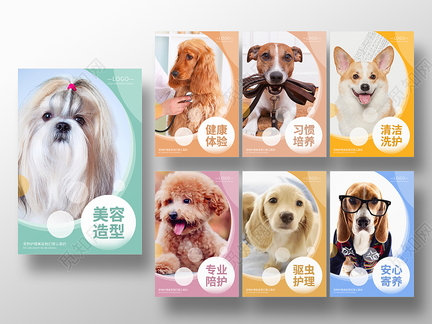 多色宠物高清简约风格套图洗护宠物店海报宠物医院宠物萌宠挂图套图