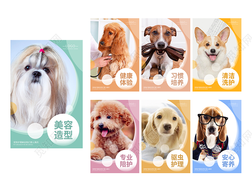 多色宠物高清简约风格套图洗护宠物店海报宠物医院宠物萌宠挂图套图
